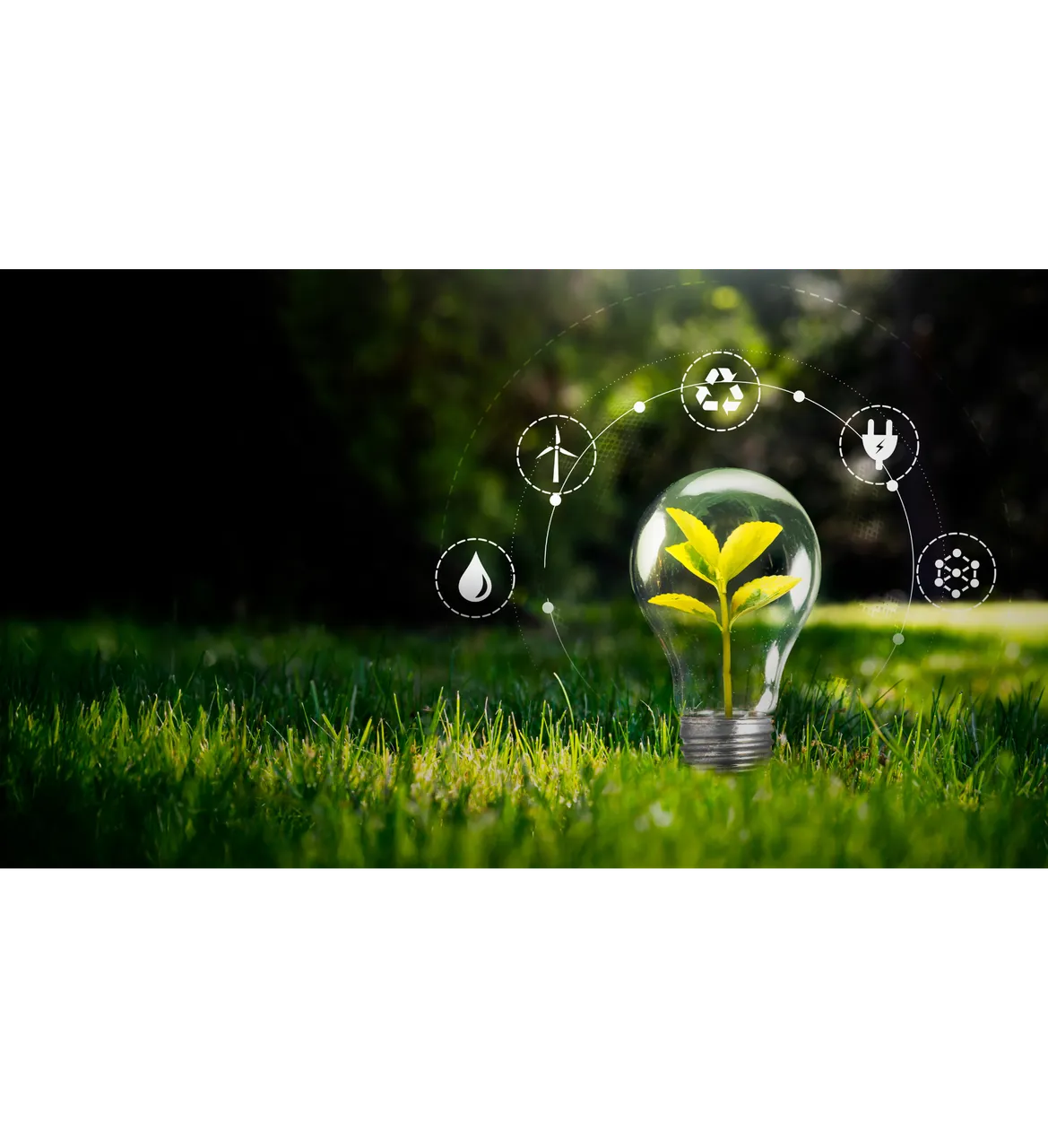 Sustainable Laundry: What It Means & Why It Matters